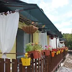 Daskalov * Chervena Lokva