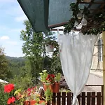 Daskalov *