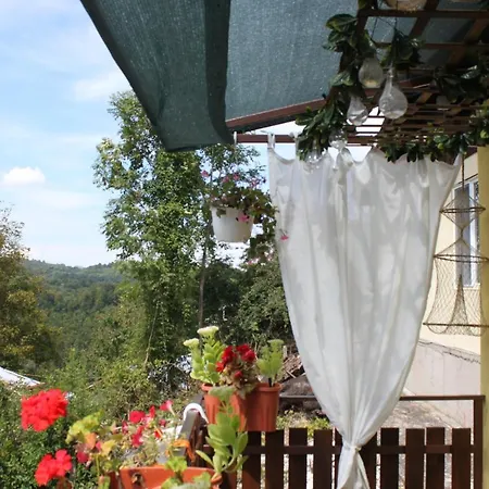 Daskalov *